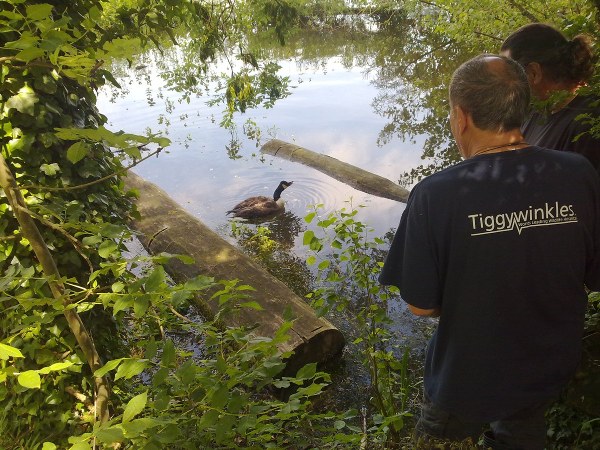 Peter Saunderson tweet media