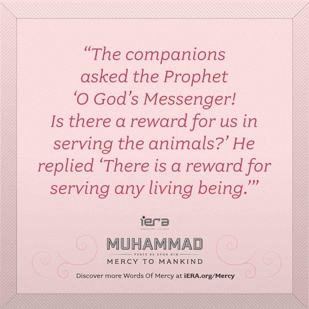 Prophet Companions Quotes