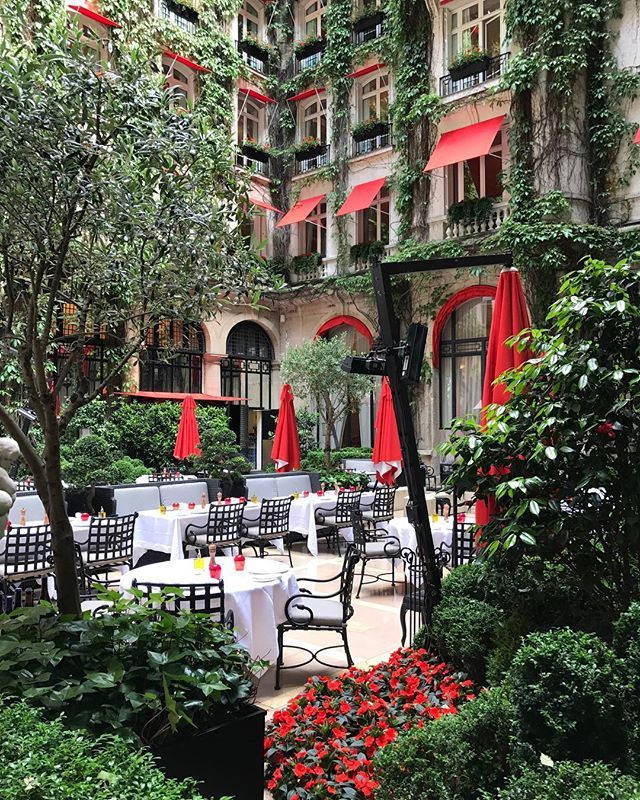 Plaza_Athenee's tweet photo. Saturday’s bliss in our haven of peace, La Cour Jardin. ♥️ #DCmoments https://t.co/YOLiiOSvg7