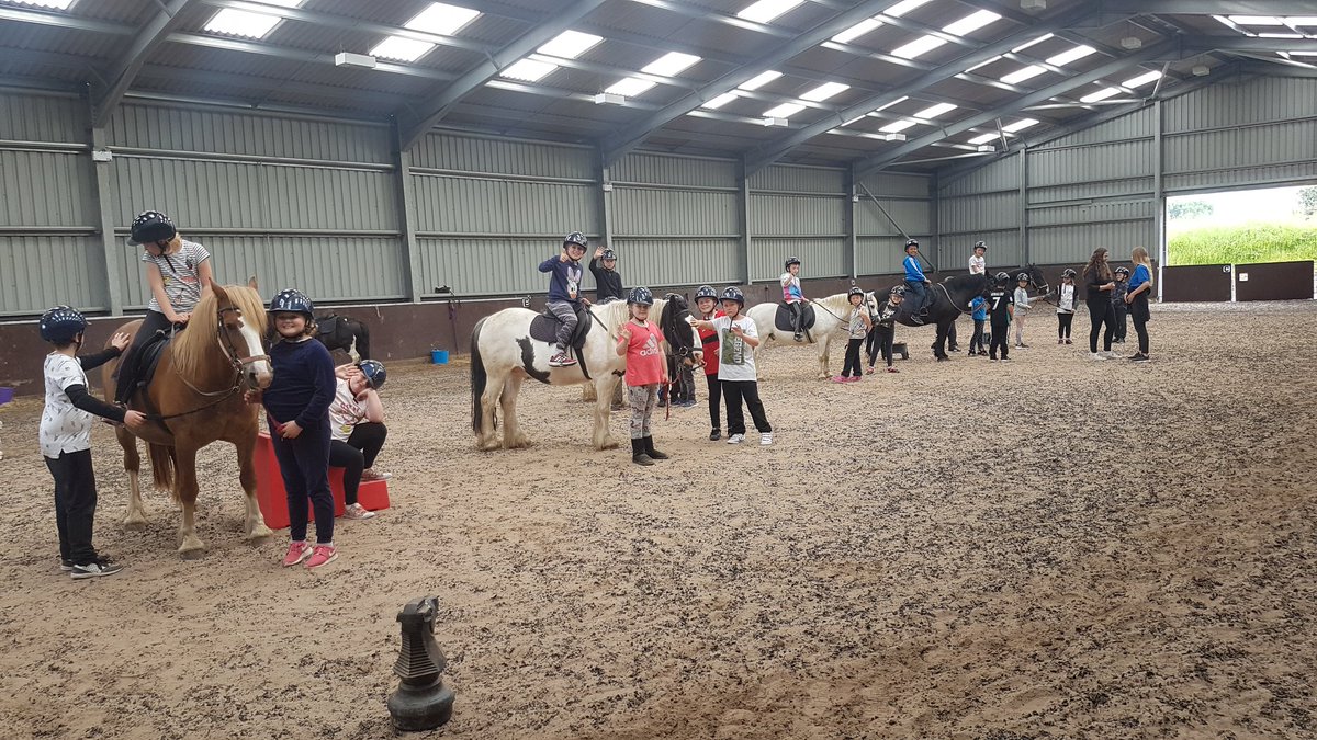 ygg_aberdar's tweet photo. Grwp 9 ar fin dechrau rodio! Grwp 9 about to begin the rodeo. @llangrannog1932 @UrddCymoedd @SiarterIaithCCD #merlota #joyio https://t.co/TuhjvvOmsQ