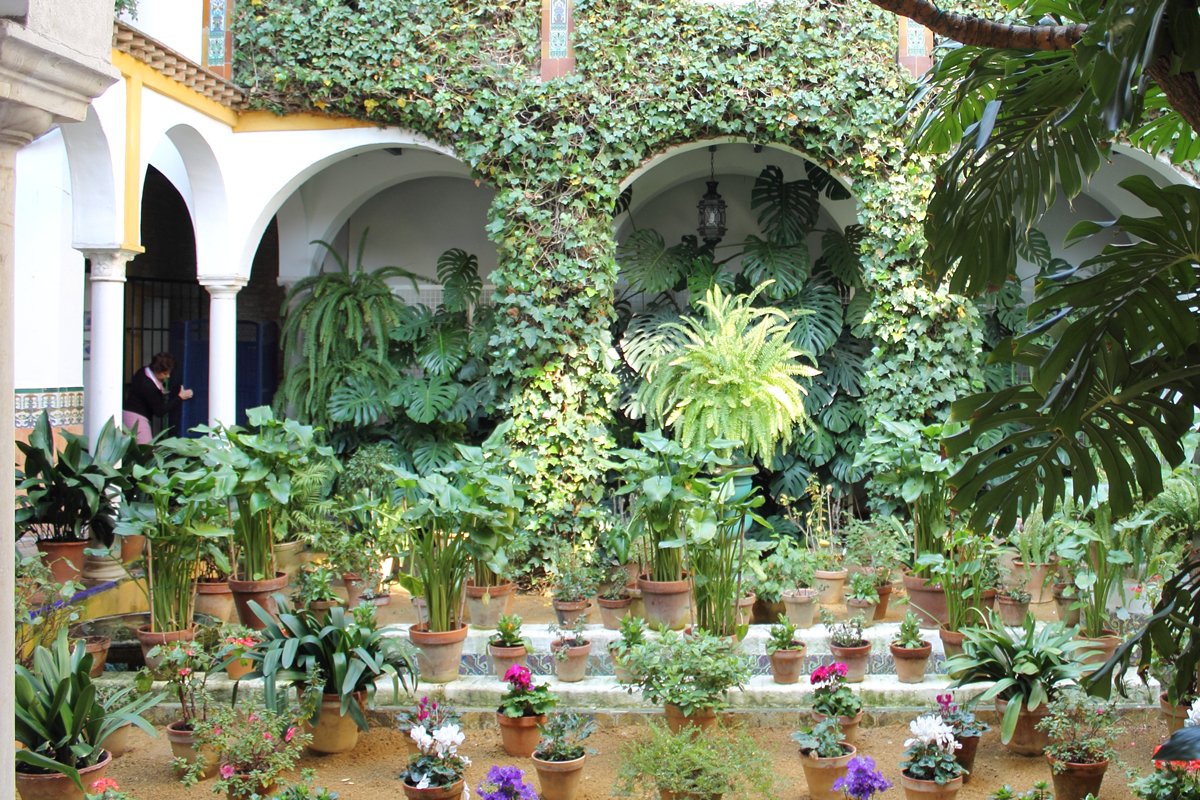 Sevilla on Twitter goo.gl/CwcGPv