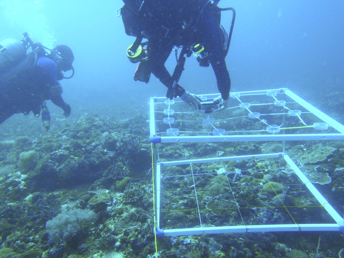 Border Sessions On Twitter Our Planet S Oceans Are Under Great