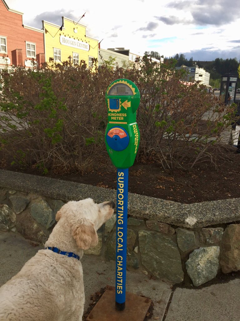 klondikesue's tweet photo. Stormy weather on our walk around downtown Whitehorse last evening #weather #whitehorse #yukon #yukonriver #landofthemidnightsun #bucketlist #exploreyukon #mentaltherapy #goldendoodle #kindnessmeter #supportlocalcharities #mybackyard https://t.co/zeBj7ucQcv