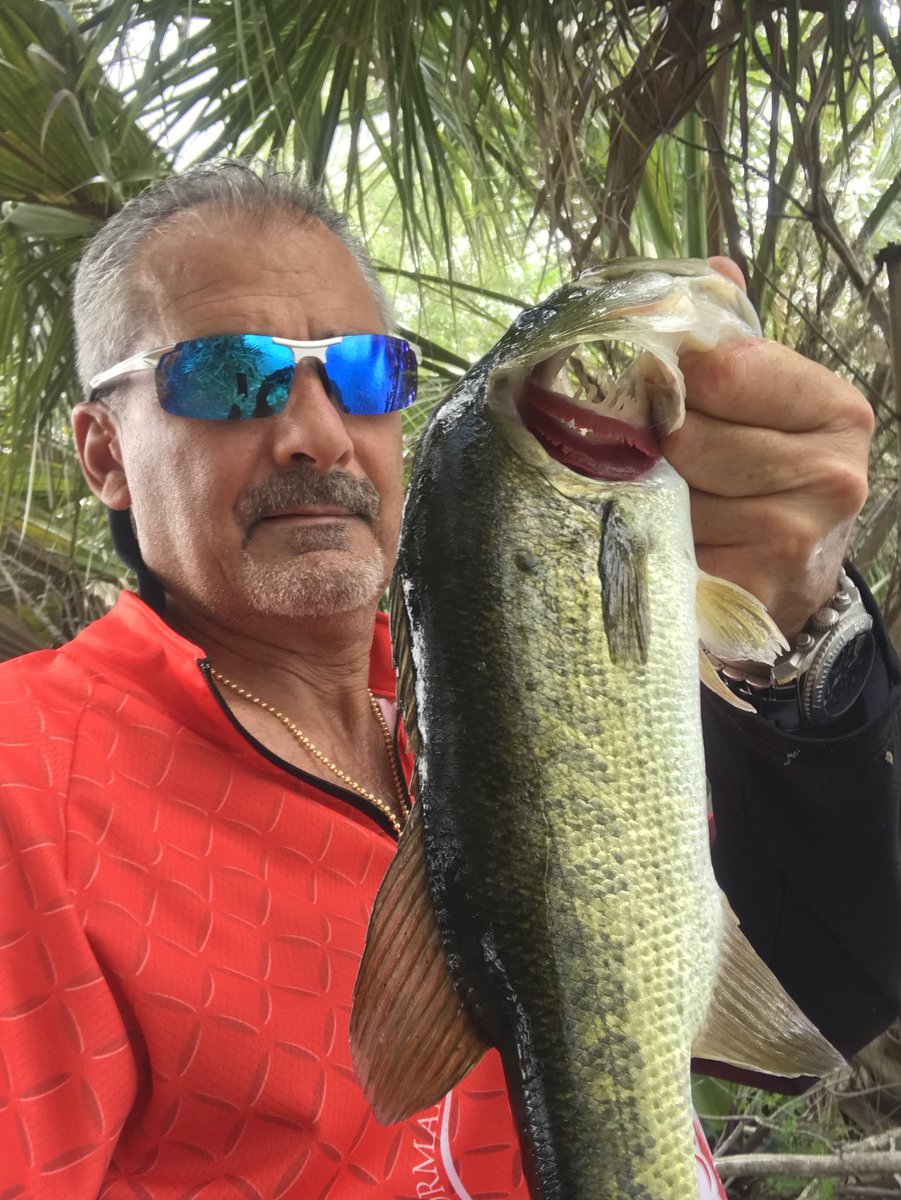 GMR_NYGFAN's tweet image. Got a few yesterday on my new Nextgen baits and Jackslures. It was a great day. #nextgenbaits #jackslures