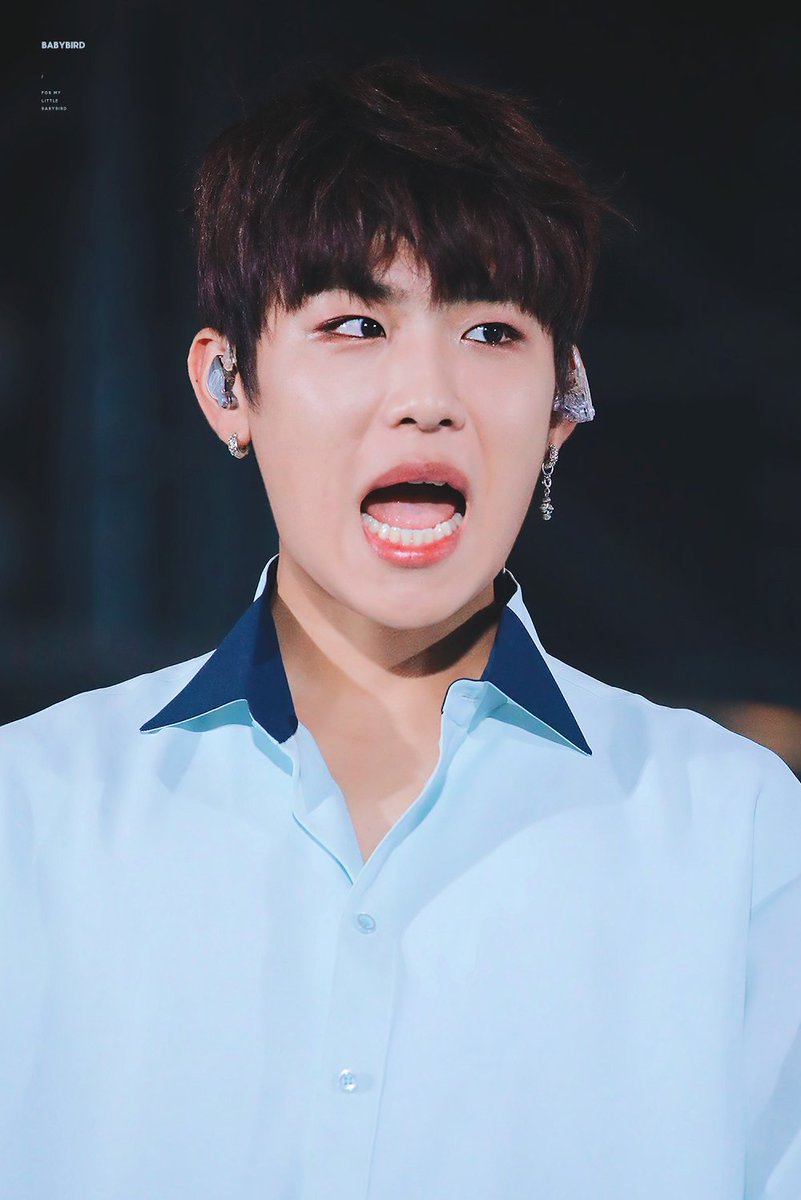 Babybird_lo's tweet photo. 180602 매일 갓기와 흐진 사이에서 길을 잃는 나 😭😭😭

#박우진 #parkwoojin https://t.co/vYXZnBMZbn