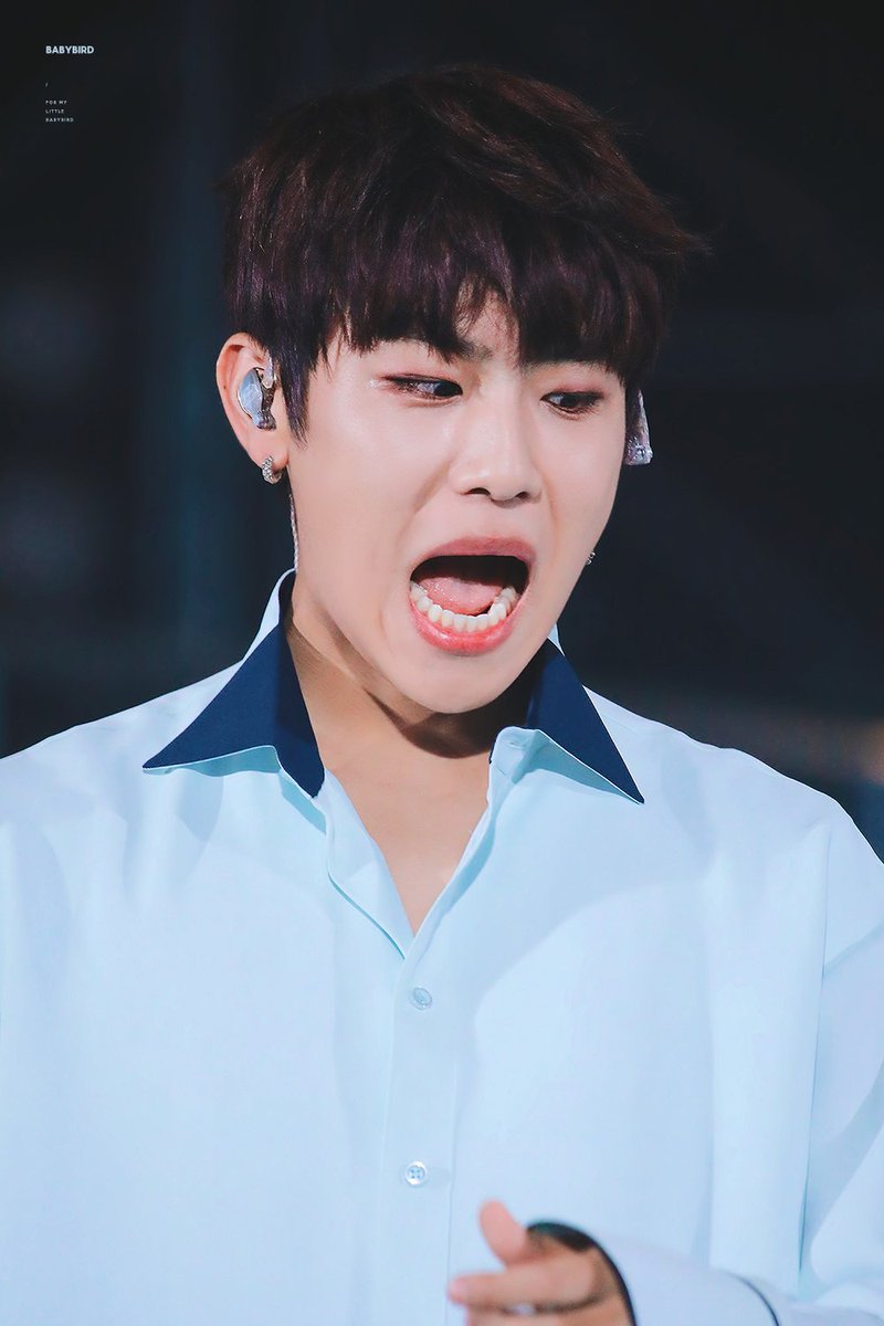 Babybird_lo's tweet photo. 180602 매일 갓기와 흐진 사이에서 길을 잃는 나 😭😭😭

#박우진 #parkwoojin https://t.co/vYXZnBMZbn