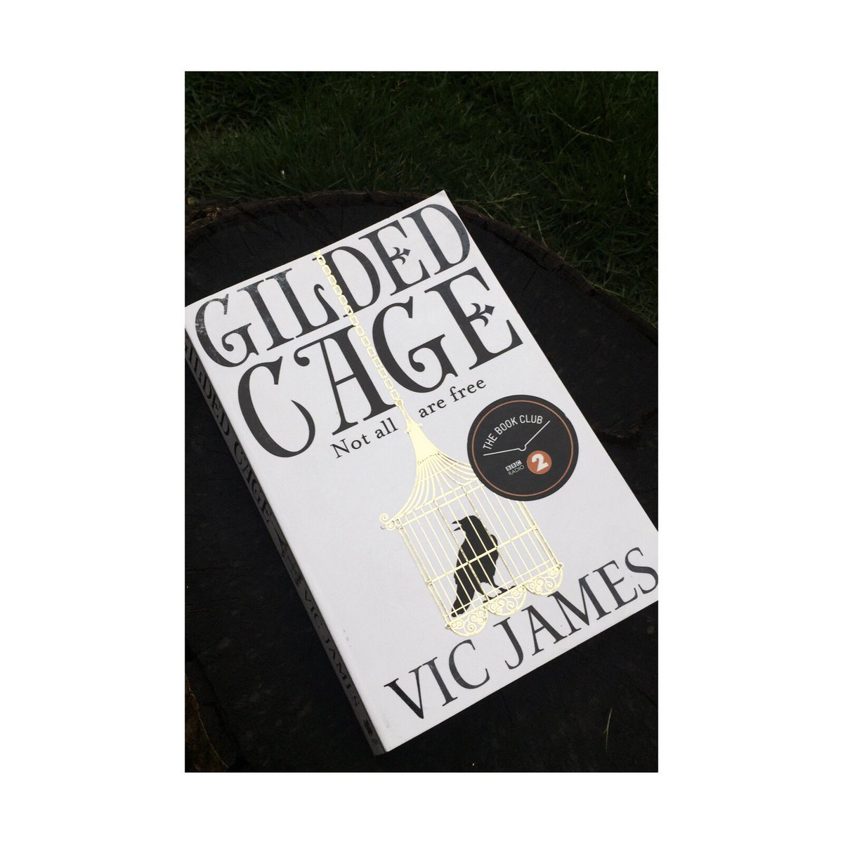 besharambilli's tweet photo. Hey! So I loved #GildedCage by #VicJames. It's the first part of #TheDarkGifts trilogy!
Here's my insta for the long story short:
https://t.co/KBKBR9QgFa
And if you want to read my full review (and be patient because I'm new to this) my tumblr:
https://t.co/dGmcTPWFcY https://t.co/aF2wavd54p