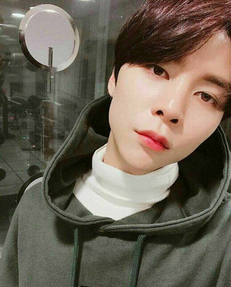 17Joshyua's tweet photo. "Johnny's Fashion Evaluation" but with our selca ଘ(੭ˊᵕˋ)੭* ੈ✩‧₊˚
#NCTzenSelcaDay https://t.co/fbPAsLNOVB