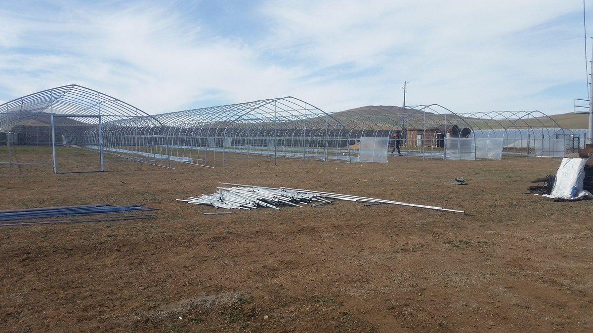 Үндэсний үйлдвэрлэгч 
Батхүлэмж ХХК 
Холбогдох утас:88071730