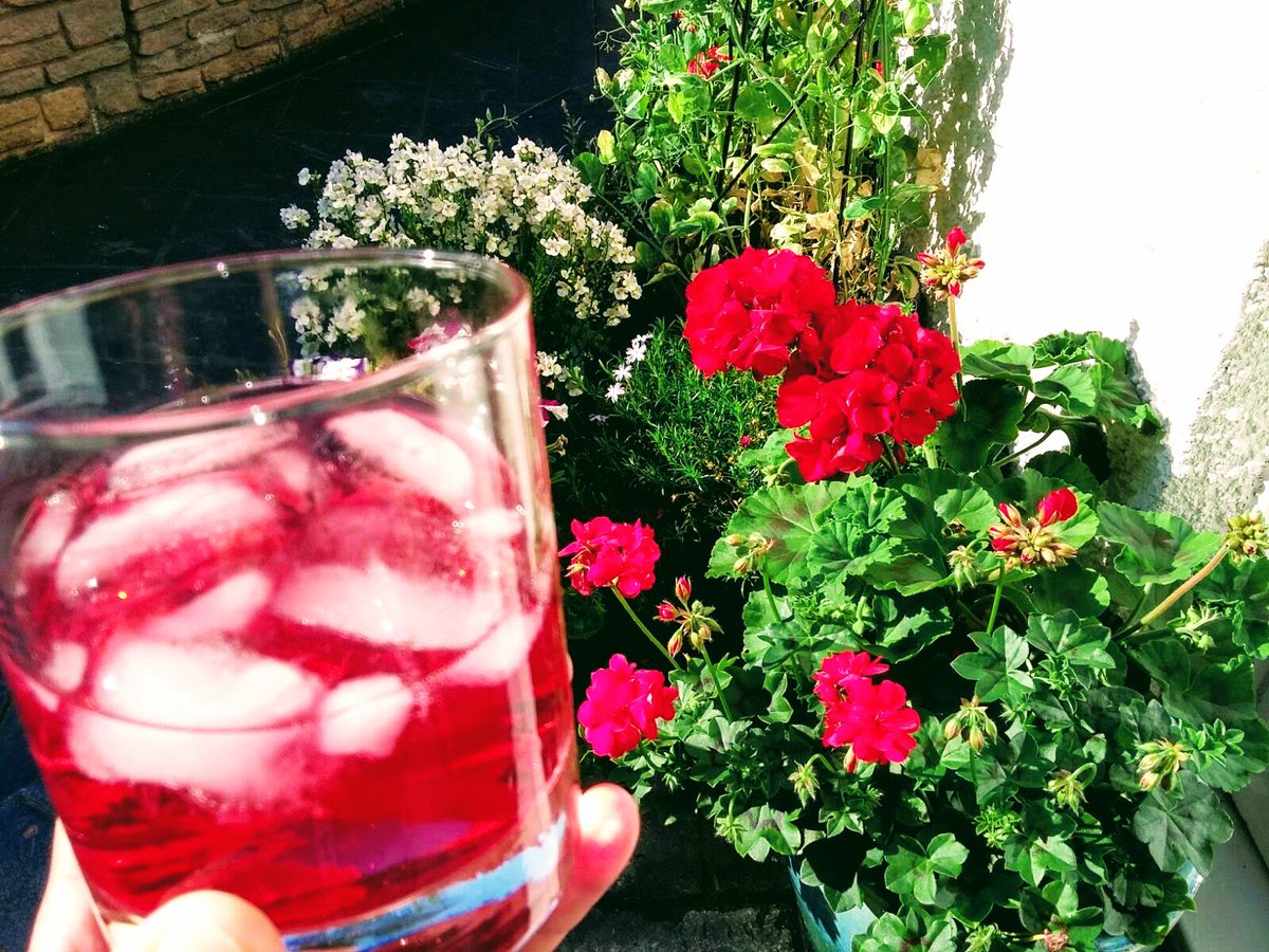 LStewart_books's tweet photo. Celebrating World Gin Day with an El-Gin Moray Berry gin and tonic - summer in a glass!
#WorldGinDay #WorldGinDay2018 @The_Elgin_gin #garden #cocktail @TouristScottish #SaturdayNight https://t.co/WUfdtLEeTx