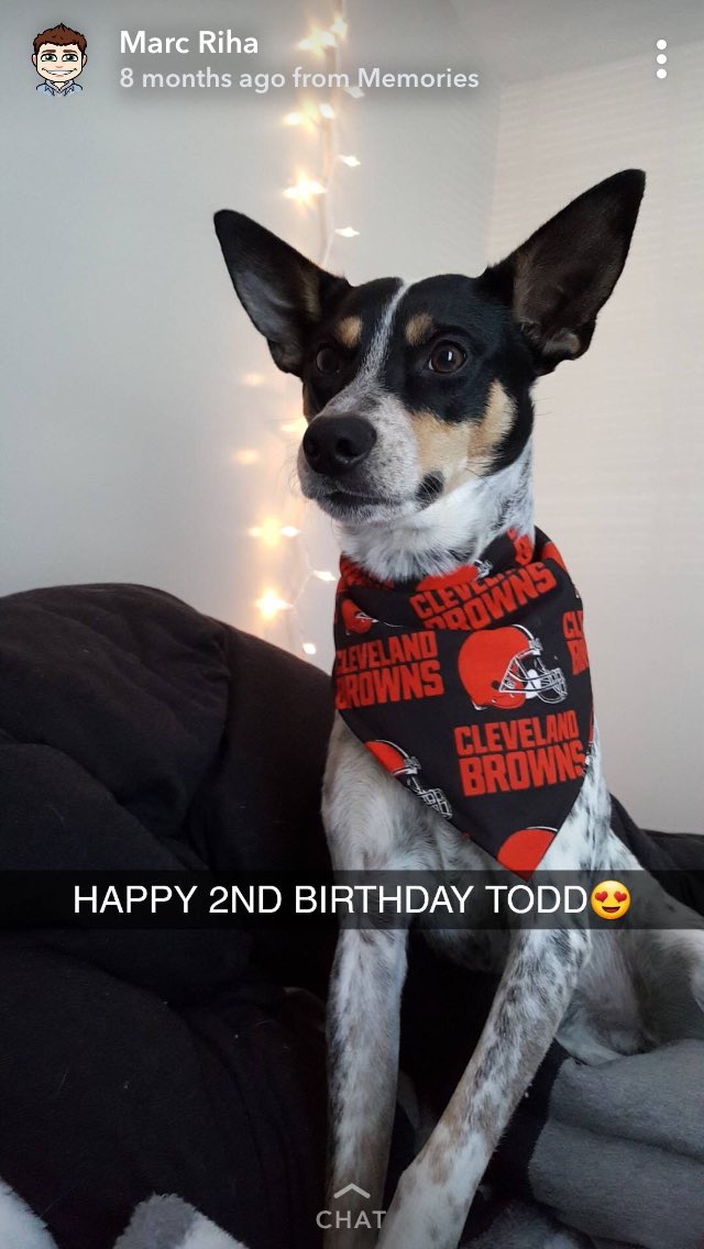 AdogBb's tweet photo. When’s the party??! https://t.co/XwmkTaWQ7U