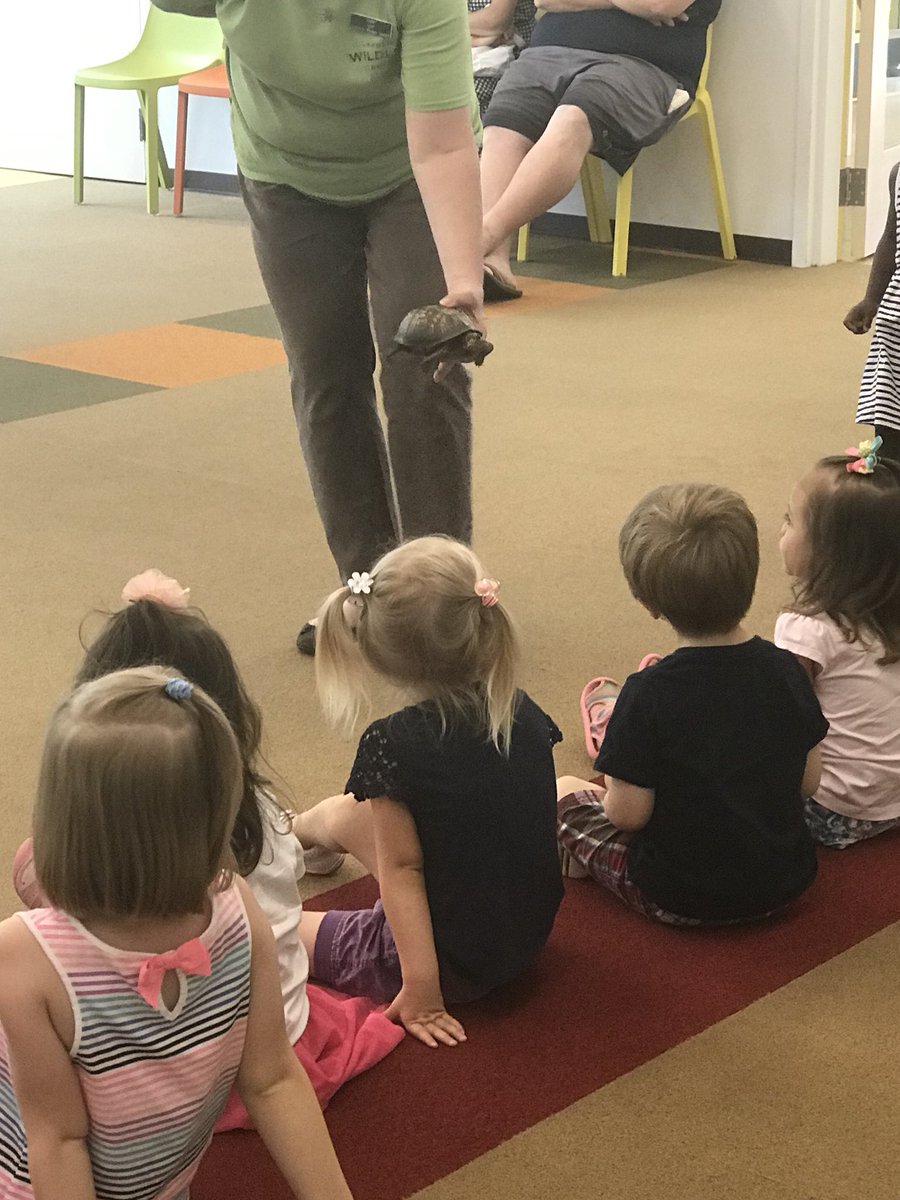 KimberMJones's tweet photo. Summer Learning Challenge Kick Off at North Main is under way....The Turtles are here!!! #accessfreely https://t.co/5PFCxBP0Qf
