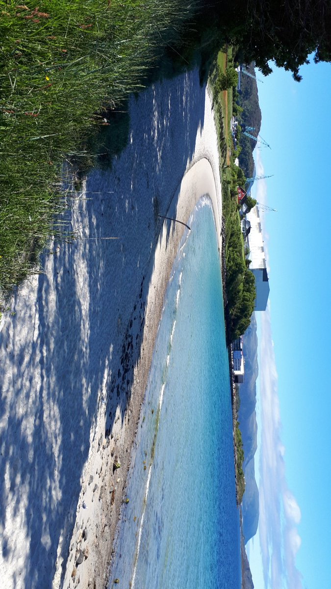jediso tweet picture