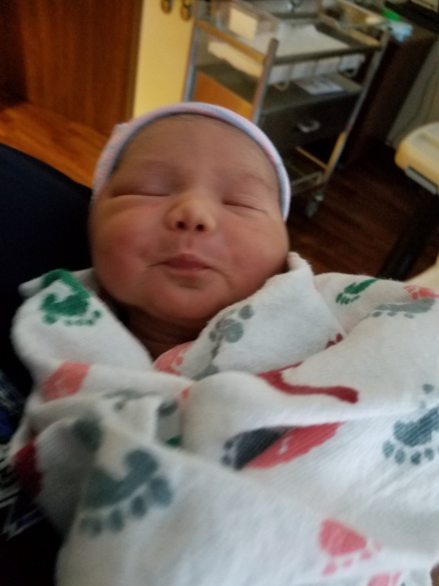 Tom Halbrook tweet media