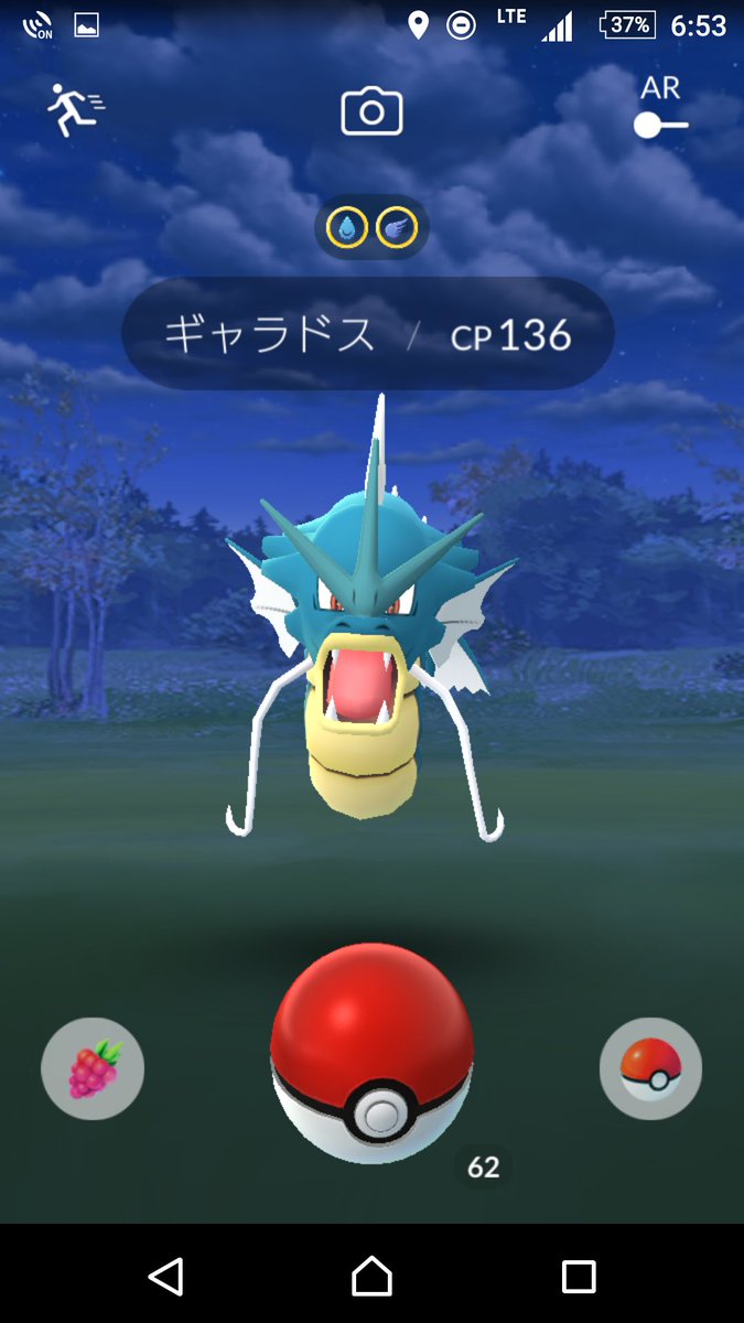 暖簾 ポケモンgo ギャラドス 野良ギャラドスとかいて良いんですか 笑