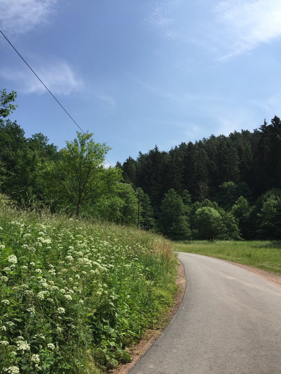 StoltzfusTyrell's tweet photo. Ich bin eins mit der Natur. 🌿🌲🌱
#RADtothebone @PVHS_GAPP https://t.co/7XPzoVd1Ls