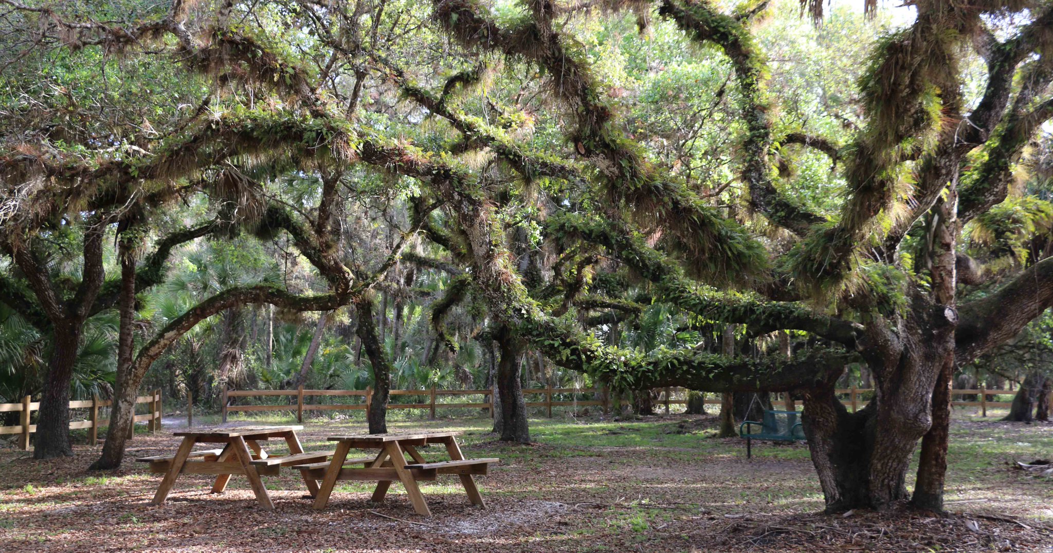 North Port, Florida on Twitter "Love to hike? Introduce the rest of