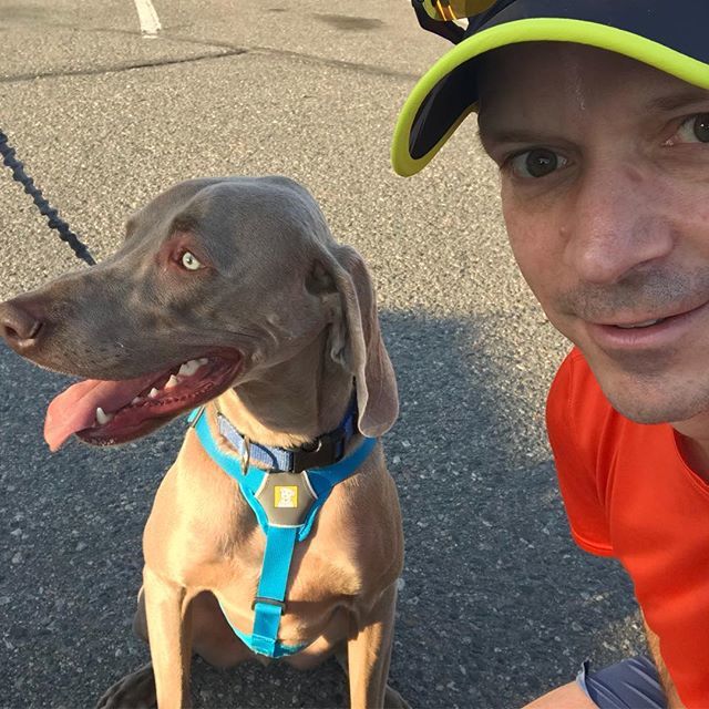 paulpetera's tweet photo. Love it when Toby gets to run with us. Toby is a very good dog. #rnkrunning #shoplocal https://t.co/7iYcbaKIjw https://t.co/XZnKb6ooUn