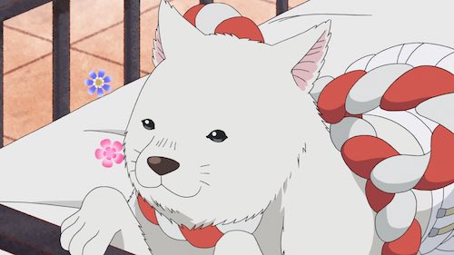 鬼灯の冷徹 シロの犬種は マスコットキャラクターのしっぺいと似ている ファンタジーアニメの入口
