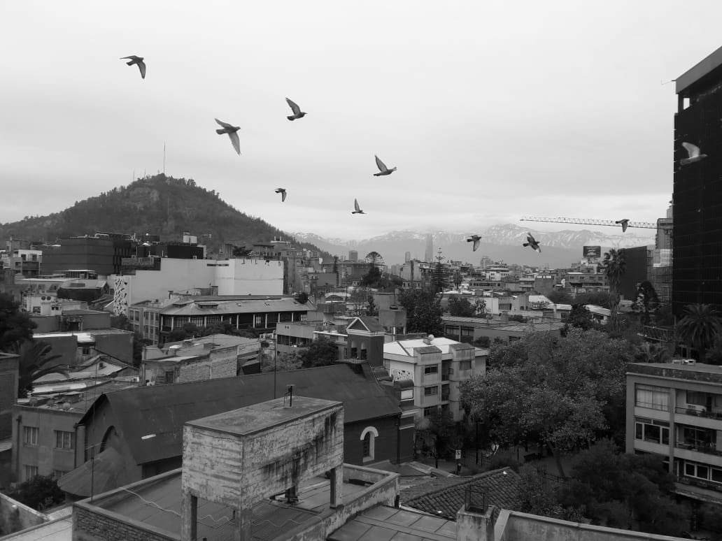 ManuGlez_bilbao's tweet photo. Que excelente momento queda en esta foto @figueroamatiaa Vuelo en familia para una fría mañana de junio en Stgo! 😊 Siempre listo y con mirada dispuesta a inmortalizar momentos urbanos. 👏🏼👏🏼👏🏼 Felicidades! https://t.co/dwLSnTXDnA