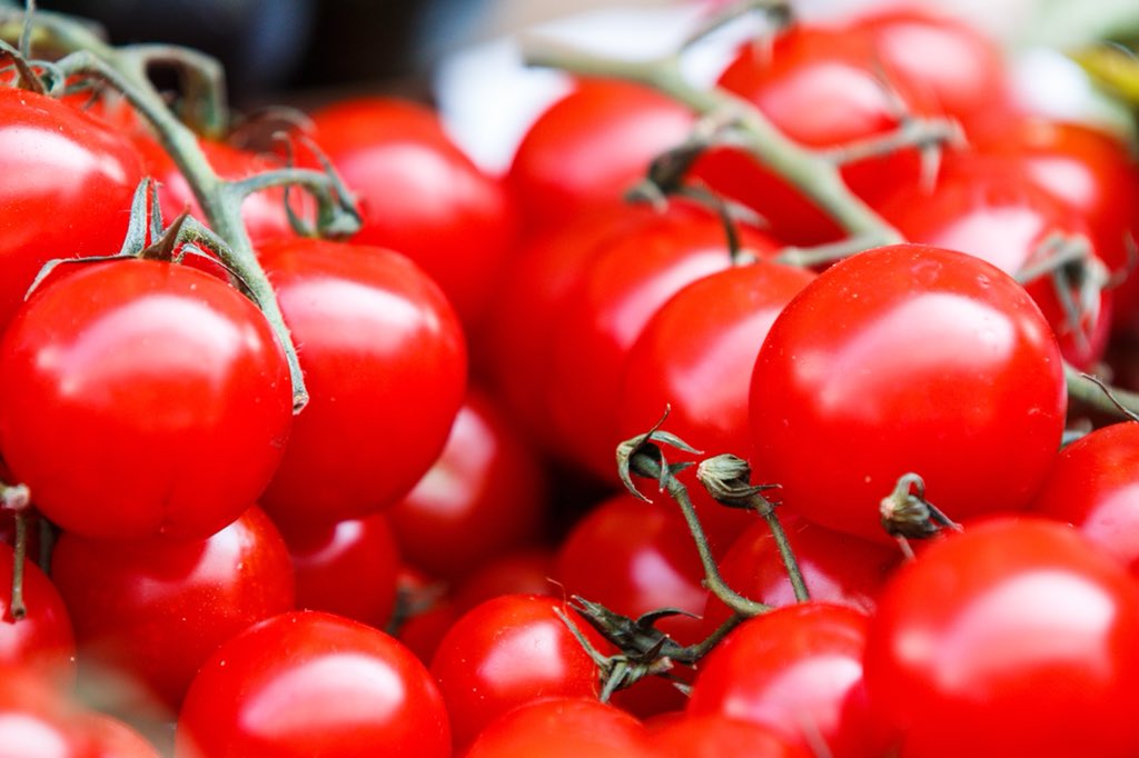 Go_McGuire's tweet photo. Some people hate tomatoes. It may be hard for the rest of us to understand that, but it’s knowing our clients in fine detail that make finding the perfect home for them an absolute reality. Likes & dislikes. We all have them, so we always ask. #gomcguire #premiereplus #newhome https://t.co/sfr4vVZPV3