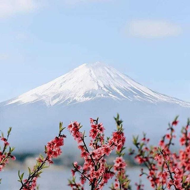 mundode_viagens's tweet photo. Bom Sábado!.
Mais fotos e vídeos incríveis na bio @blogmundodeviagens .
#travel #holidays #angleofview #view #viagens #ferias #travelblog #wonderfulplaces #turismo #travel #travelblogger #traveller #travelers #aroundtheworld #world #planet #cool #beautiful #wonderful #amazi… https://t.co/e4bO9lJOsk