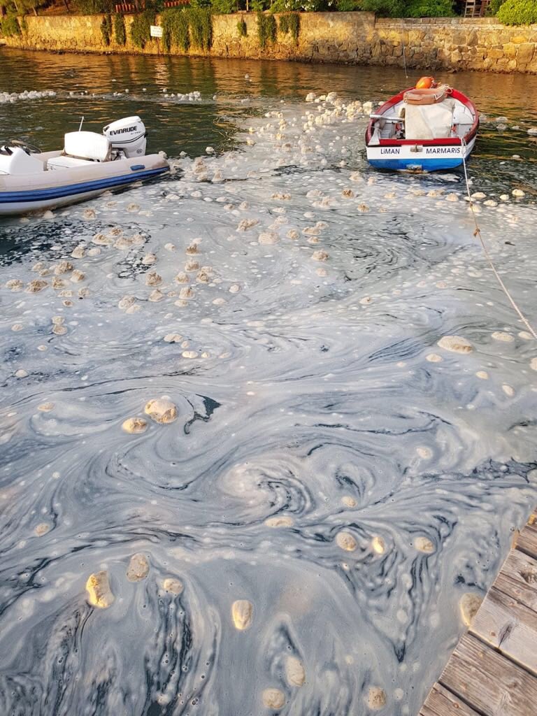 300 odalı saray yapılan Marmaris Okluk koyundaki cennette, ağaç ve çevre katliamı sürüyor. Bugüne kadar 40.000 ağacın kesildiği inşaattan son görüntüler.