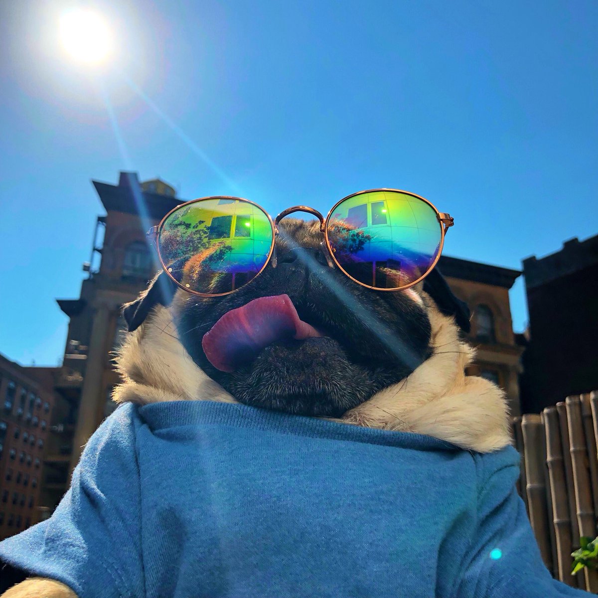 Came thru puggin’