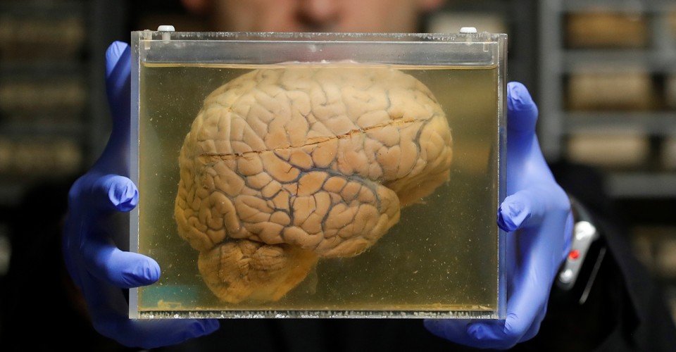 MonsterBestiary's tweet image. The brain in a jar isn't just a sci-fi cliché - it's also at the centre of a fascinating philosophical debate about perception, self and transhumanism. I recommend this 2017 article in The Atlantic for an entertaining and informative look at the subject: buff.ly/2JiLrD5
