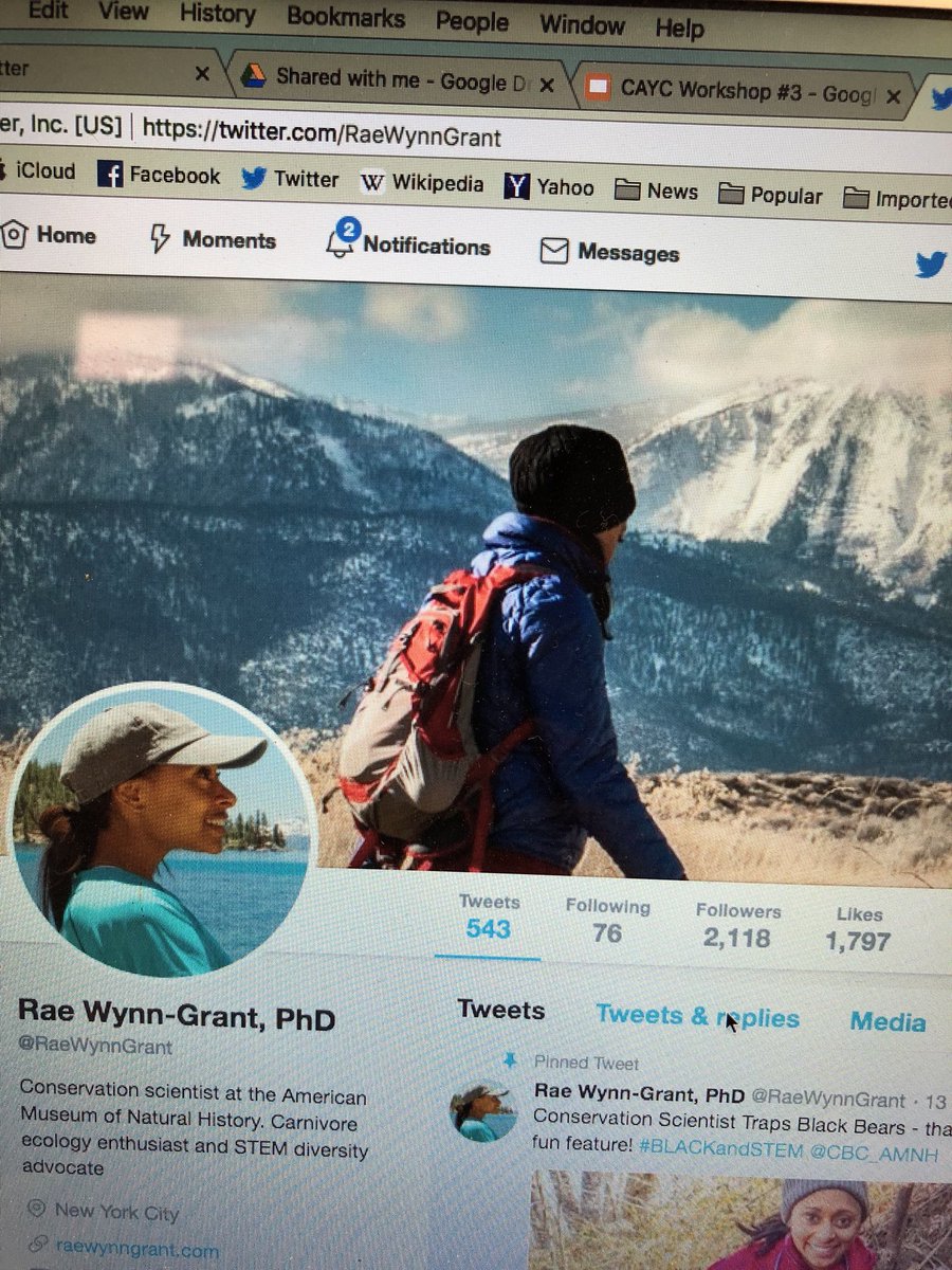 karenhammerness's tweet photo. Another great example of scientists using social media really effectively #stayinginscience #CAYCmediastrategies https://t.co/KfD6ZxWtm4