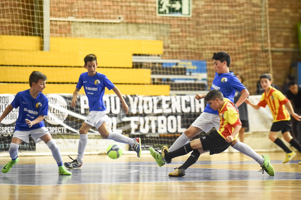 Federació Catalana de Futbol tweet media
