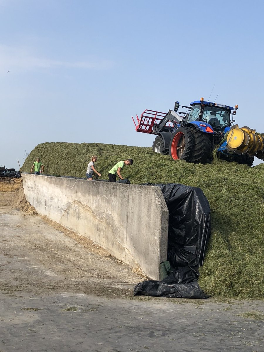 jandirkcorts's tweet photo. Best weer om het gras met uitgestelde maaidatum in te kuilen . Boerennatuur https://t.co/xrQg2FOs5x