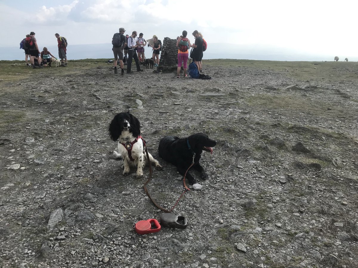 YVSvets's tweet photo. 8 hrs to third peak Ingleborough now descent before the thunderstorm ! https://t.co/lMcpQAv7YI