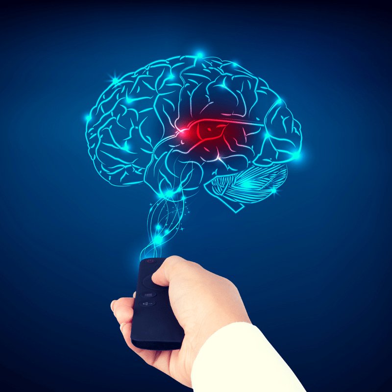 sonjanschmitt's tweet photo. RT https://t.co/GPLFSLuOut RT @dlhampton: There are two primary ways to harness neuroplasticity and put it to work for you. https://t.co/tV8ZEVQkkt #brain #mentalhealth #MentalHealthMatte… https://t.co/jh1v5JCs4R