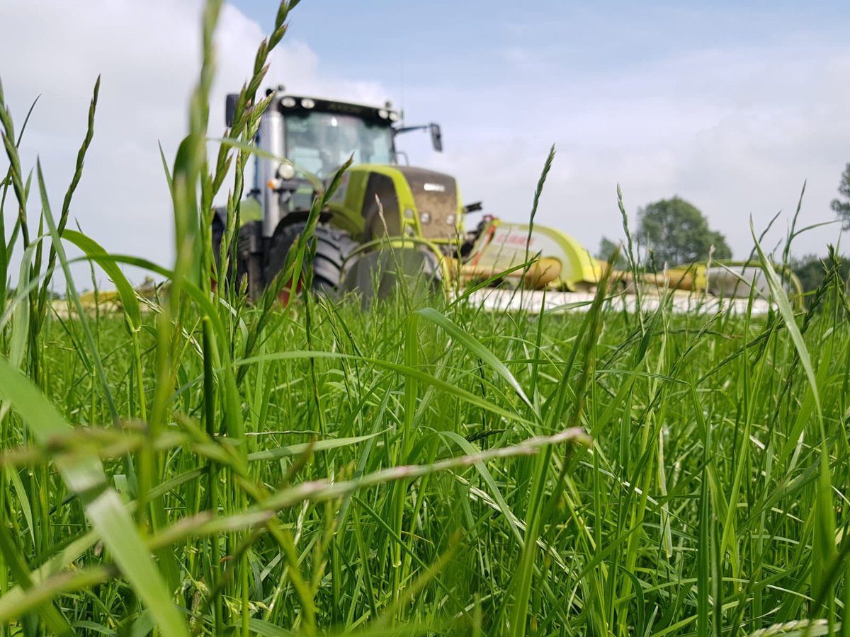 CLAAS_Eastern's tweet photo. #FirstCLAASinGrass https://t.co/38kjeEZXil