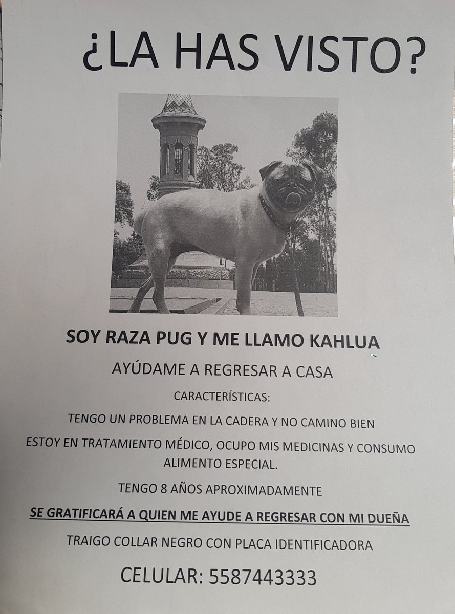 RT por favor 🙏🙏