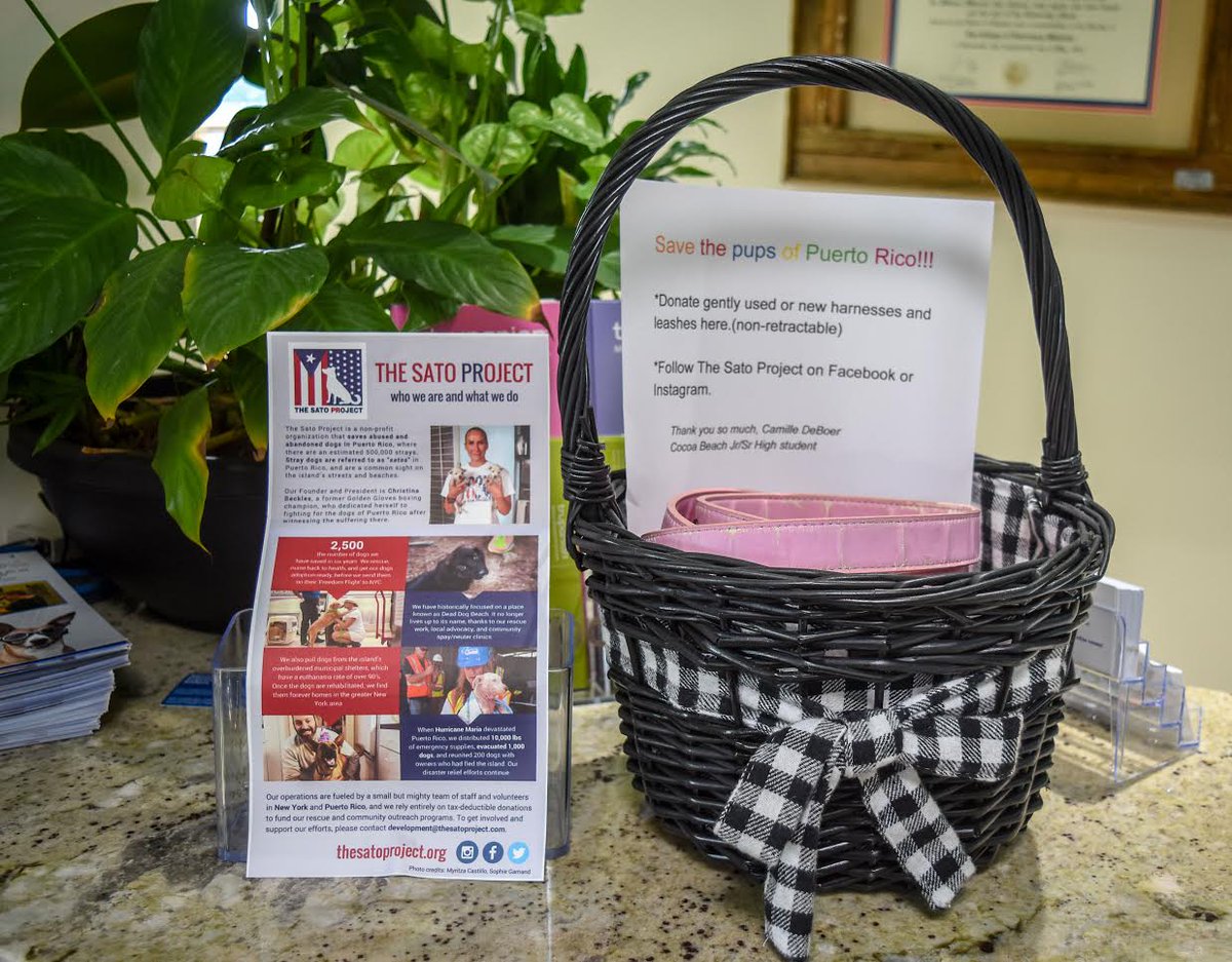 IslandAnimal321's tweet photo. Dr. Ballard with Cocoa Beach High Student Camille DeBoer. Camille is working with the #SatoProject to send leashes, harnesses, and collars down to #PuertoRico. To help, Island Animal Hospital on Cocoa Beach has the pictured basket to collect leashes and harnesses. #dogrescue https://t.co/GBDPvoEaVl