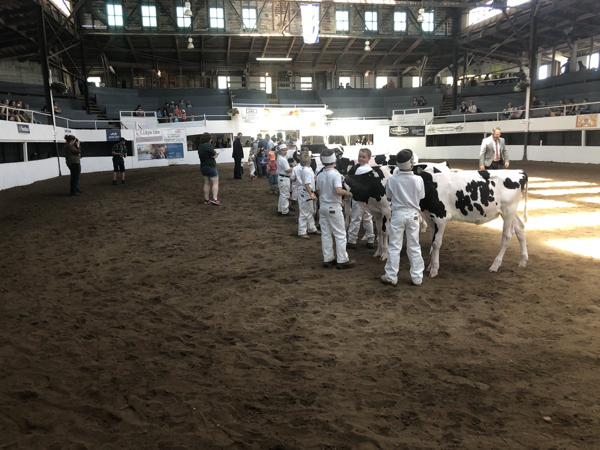 Jwalla02's tweet photo. PeeWee showmanship @OrmstownFair. 24 kids under 9yrs old! #futurefarmers #farmkids https://t.co/DKi3CB7pTE