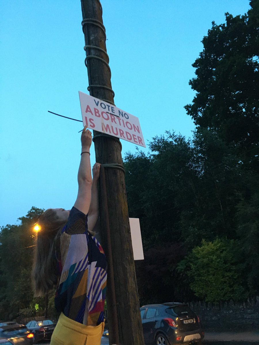 SarahJayBee's tweet photo. One last poster left in Borris so we did what needed to be done #RepealedTheEighth https://t.co/phaetEdMj5