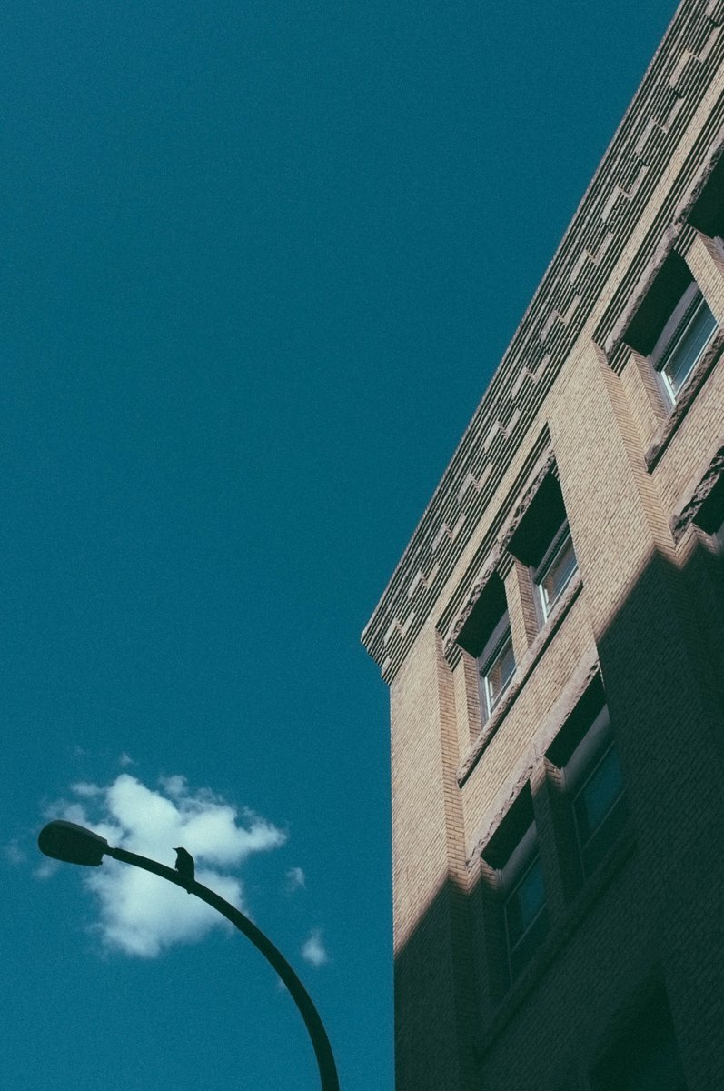 enjoycreativeca's tweet photo. Looking up from McDermot. We're sharing our favourite views of Winnipeg using #enjoywinnipeg. Tag your own shots and follow us on Instagram for more! https://t.co/gFA2H5ppse