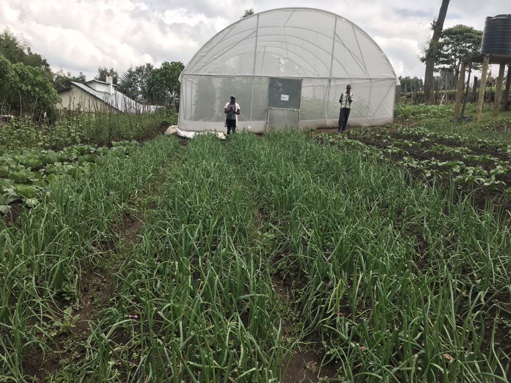 rodgers_kirwa's tweet photo. We at @iAgriBizAfrica seek to develop #agribusiness skills in youth through practical training and mentorship .

 All are welcome to our model farm and training center here in Nandi Hills all the time .

#AgribusinessTalk254 
#Big4 

@greenaravaagrit https://t.co/6C0PGgzmvN