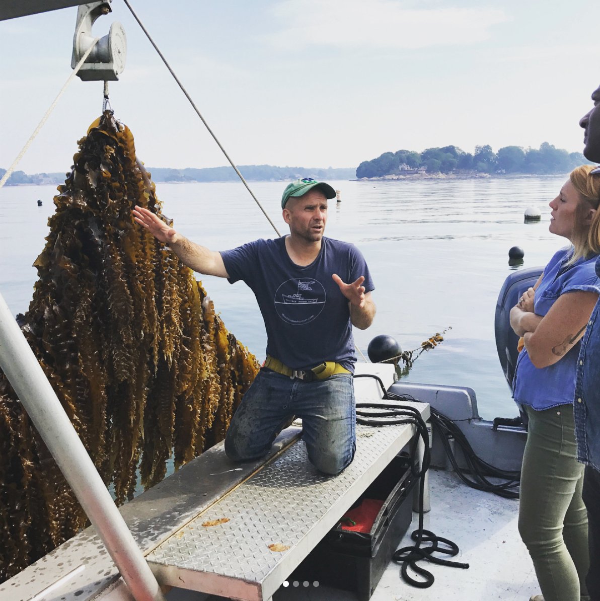farmerama__'s tweet photo. 'Imagine an underwater garden!' - Hear from Bren Smith @GreenWaveOrg, an #oceanfarmer growing #seaweed with no inputs, high productivity & sustainability: https://t.co/Vx82ANXKaS https://t.co/XJXnBU8S9D