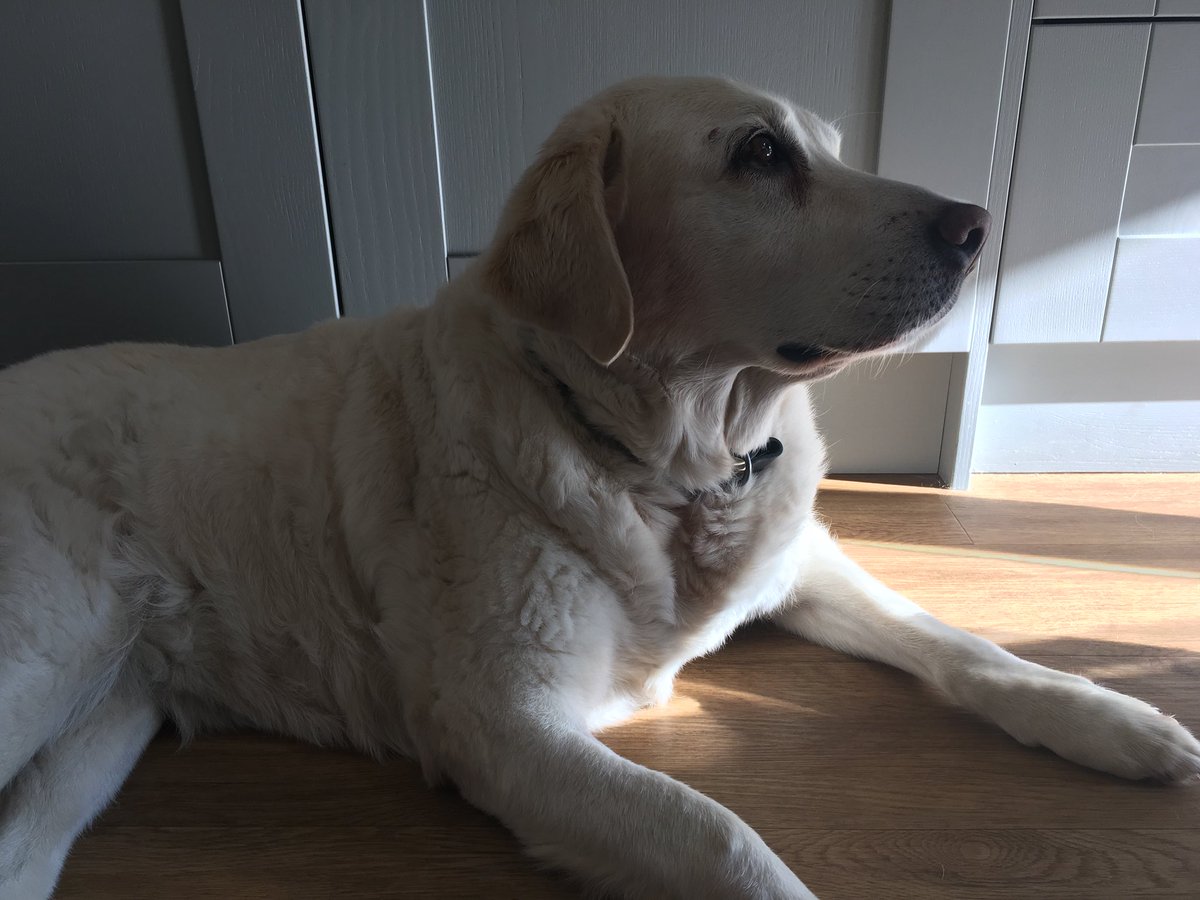 Retired Faith tweet media