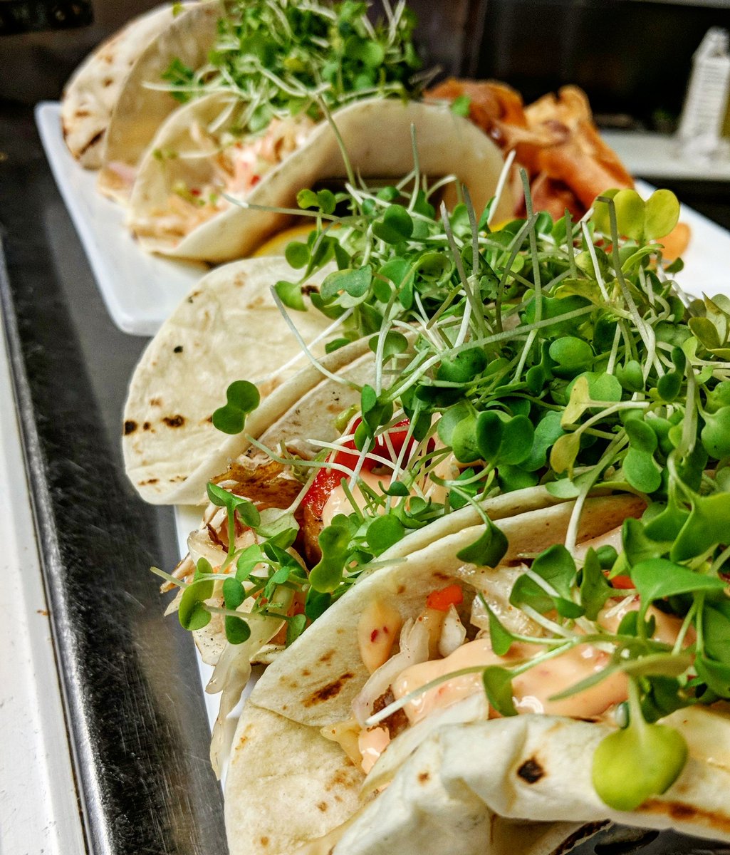 Bluewatermanor's tweet photo. Shrimp and Mahi Fish Tacos 👀 https://t.co/ZC2y2jL5bJ