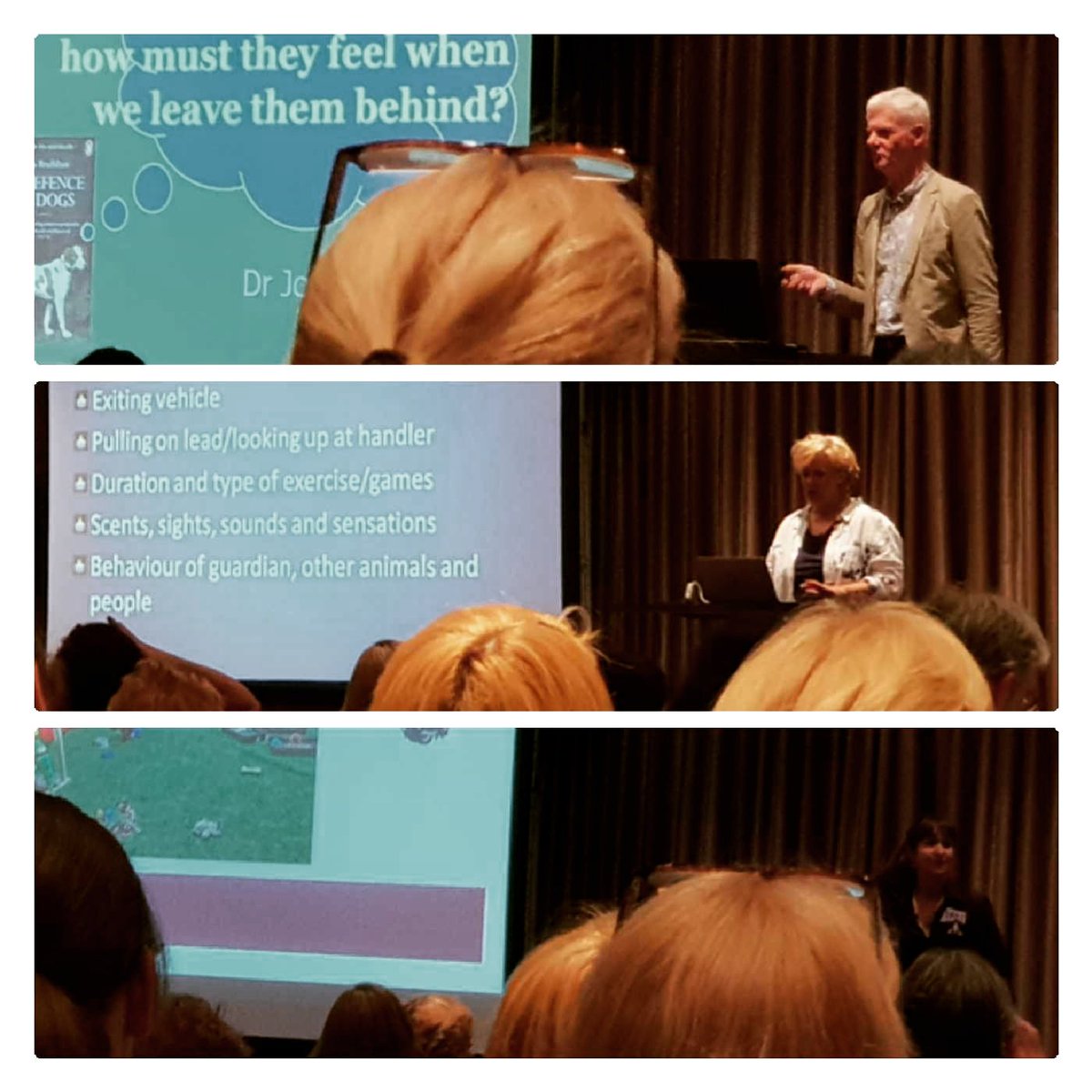 Leah_Assim's tweet photo. Another wonderful day at The National Dog Behaviour Conference. Great speakers and vibe. #VictoriaStilwell #dogbehavior #dogs #dogbehaviour https://t.co/IaJiiL8syR