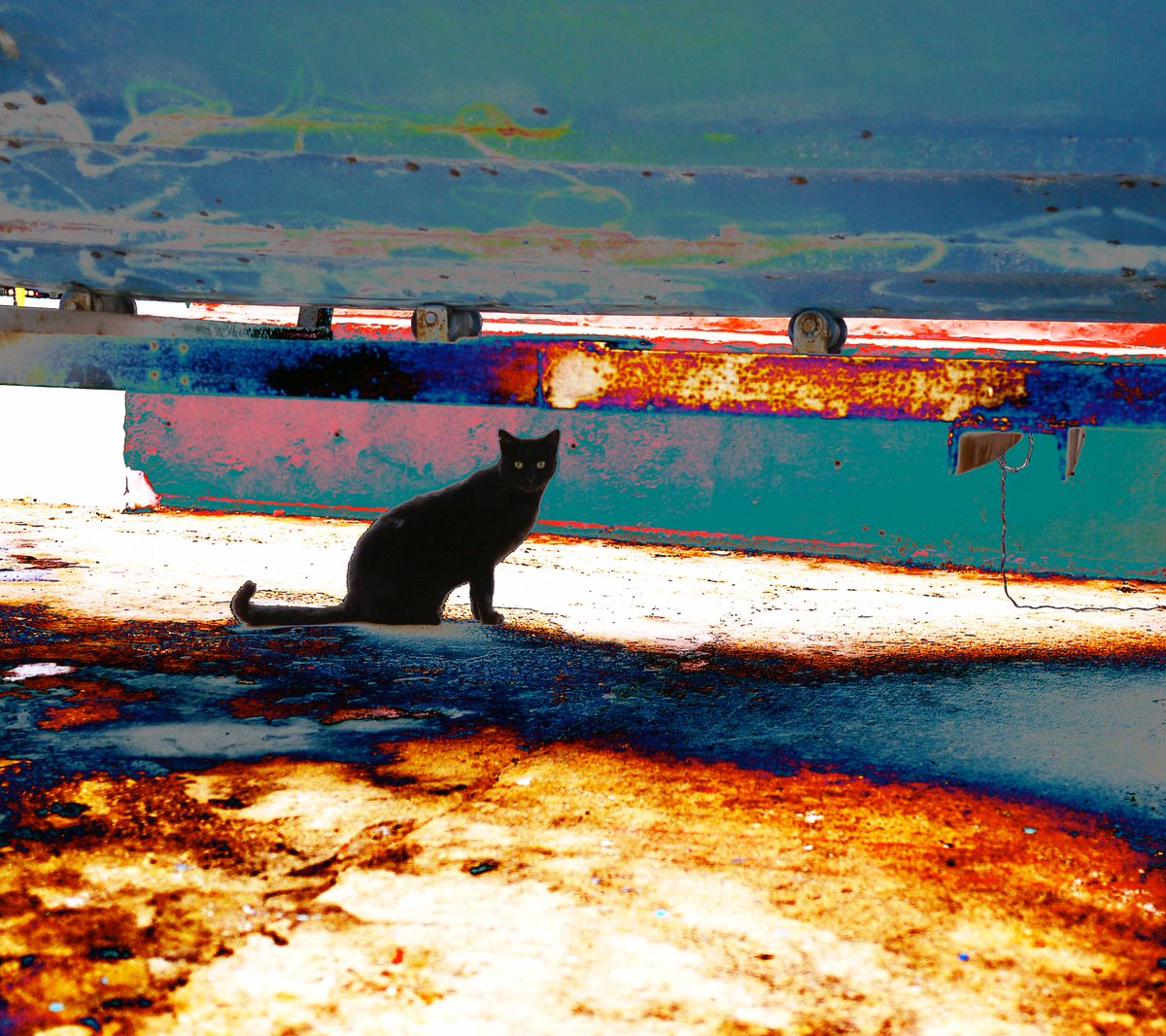 hide (@aoyama_legato2) on Twitter photo 