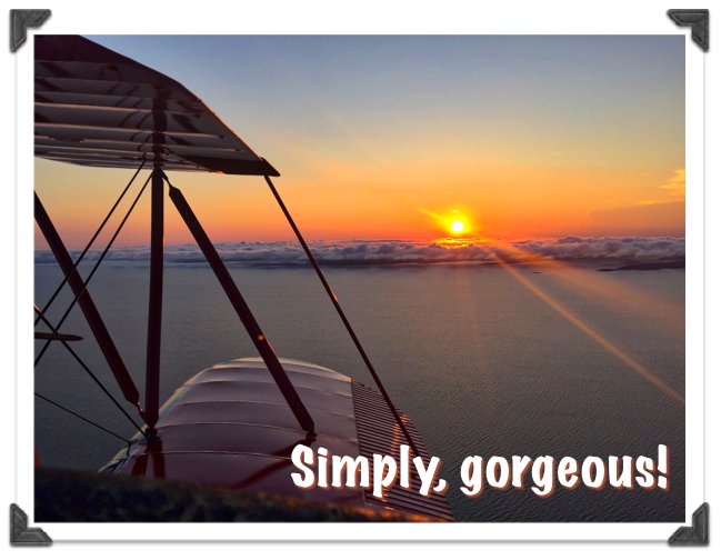 CapeCodAirfield's tweet photo. Tonight is the perfect night for a sunset biplane ride. 2 passengers fly at the same time on this relaxing ride. Reserve early, only one sunset ride each day! 508-428-8732
#biplanerides #planerides #capecod #airplanerides #capecodairfield #thingstodoincapecod #capecodvacation https://t.co/nYpt4WLmjn
