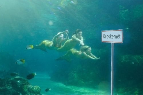 MonkeyPlanner's tweet photo. A tengeralattjárókat mérik most a trafipaxok, vezessetek óvatosan! 
#kecskemét #halasiút #eső https://t.co/7NclBQ23md