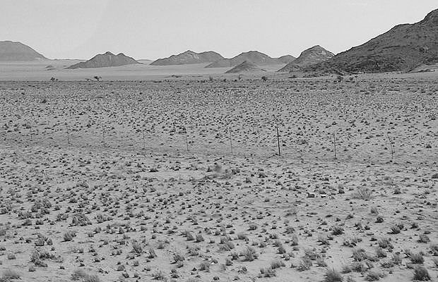 rweies's tweet image. Me llegan estas imágenes de Catalunya antes de la llegada del primer andaluz