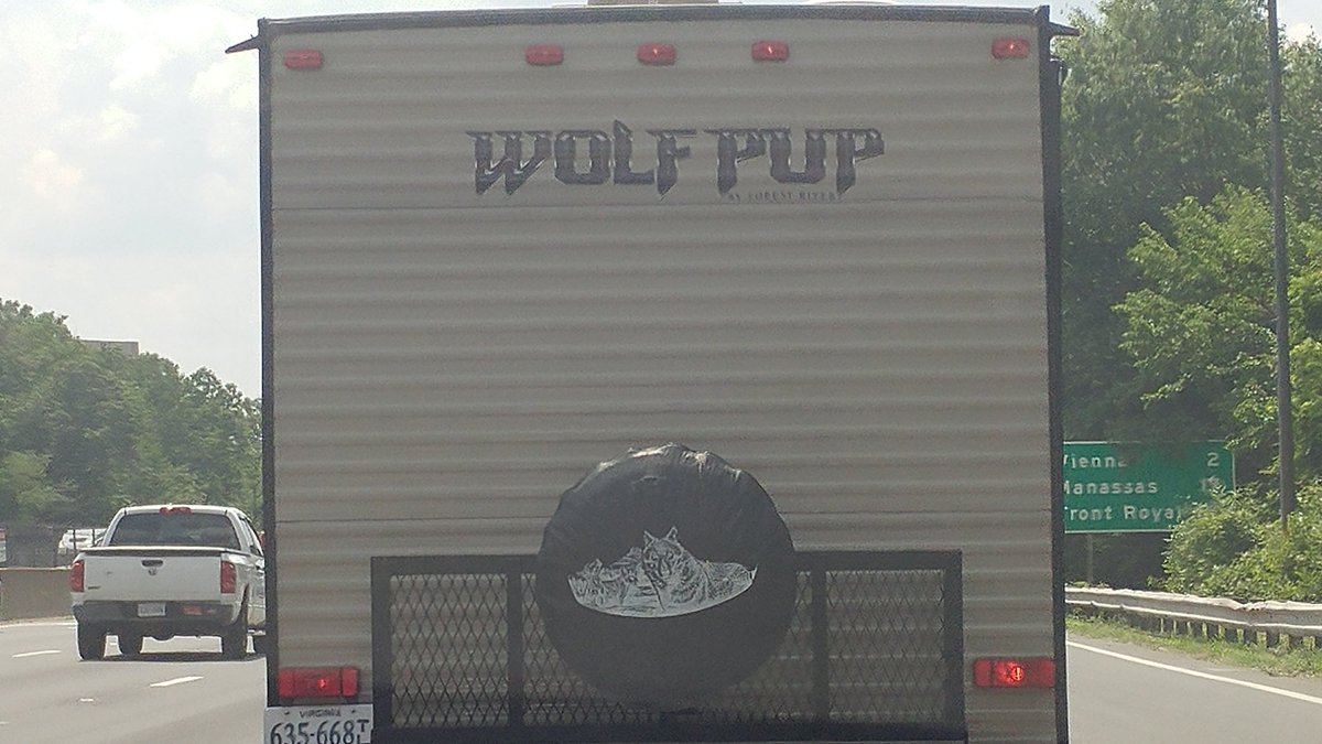 edqueso's tweet image. Is that you @rmcgrath732 #Wolfnail #toosoon #onemanwolfpack